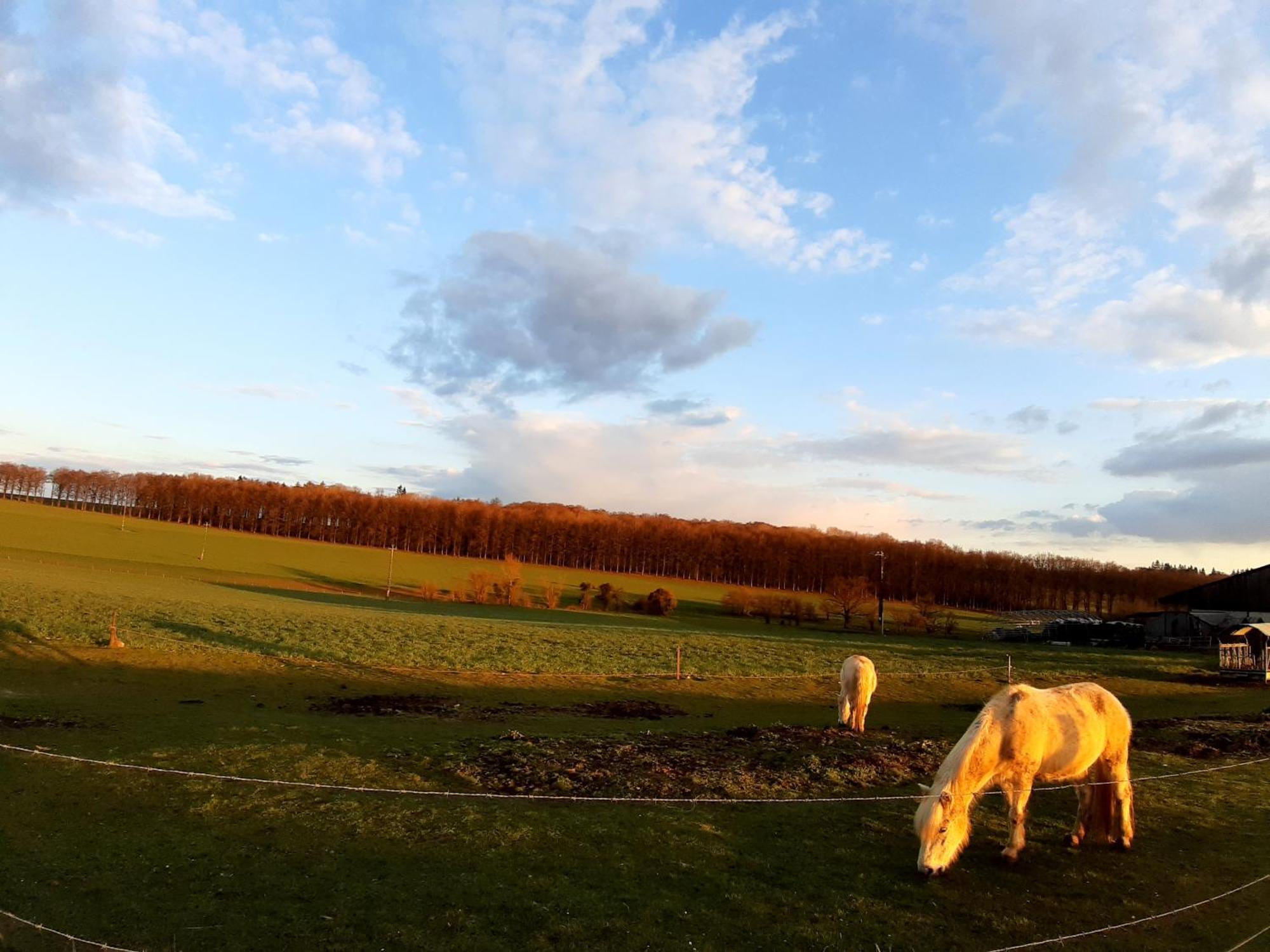 Les Chavautes Villa Scy ภายนอก รูปภาพ